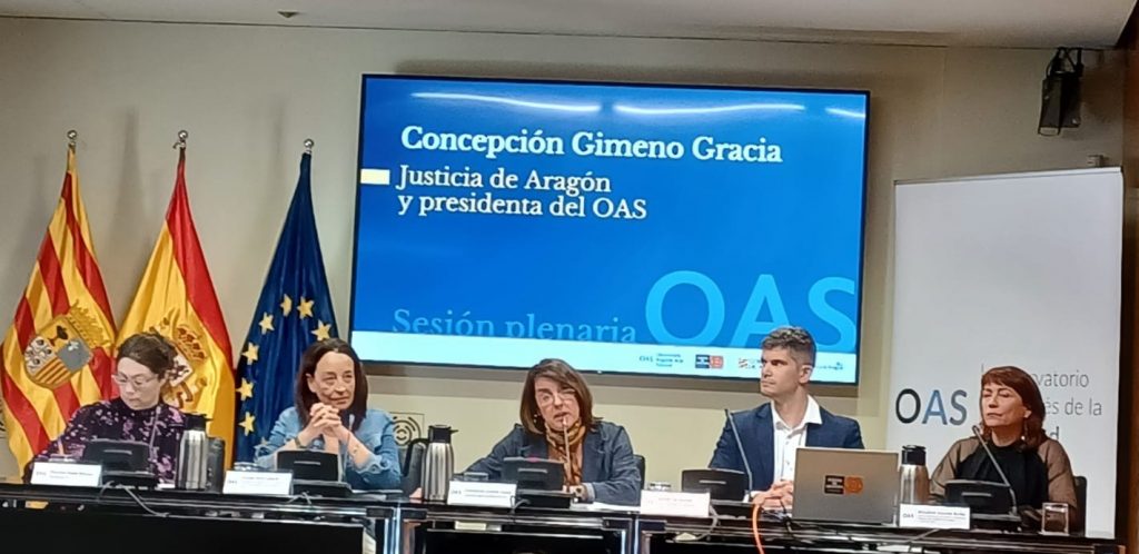 Sesión plenaria del Observatorio Aragonés de la Soledad celebrada en la Aljafería (25 de marzo de 2026)